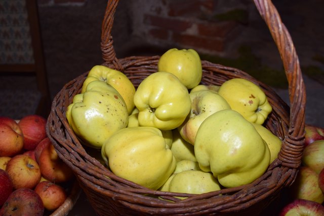 Der Weiße Winterkalvill erinnert in seiner Form an einen Paprika.