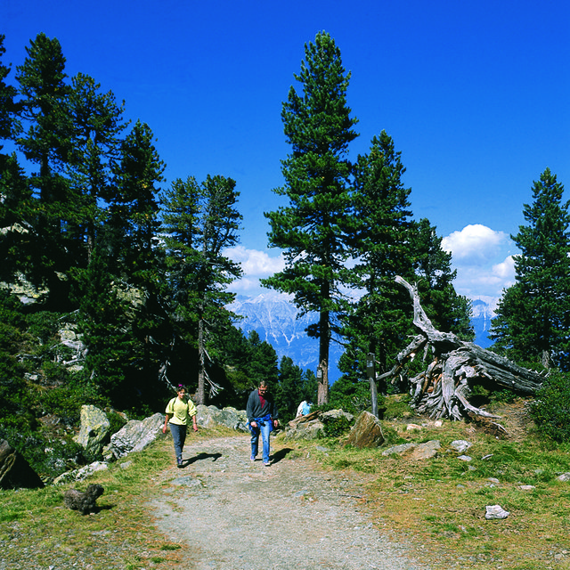 Der Zirmweg | Foto: Glungezerbahn