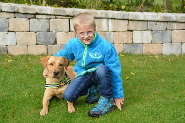 Missverständnisse können auch bei sehr schlauen Hunden wie Julian Gehrers Diabetes-Warnhündin "Bella" vorkommen.