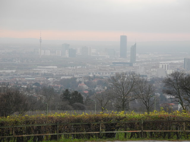 Morgentliche Herbststimmung mit dem Blick über Wien