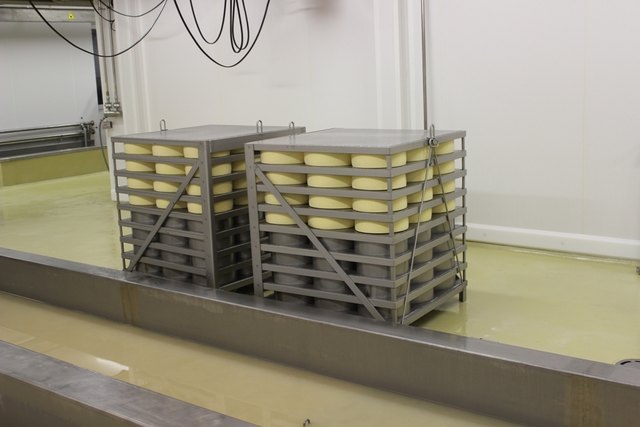 Neuer Käse aus Kössen! - Kitzbühel