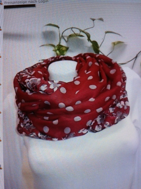 Foto: Daniela Kellner