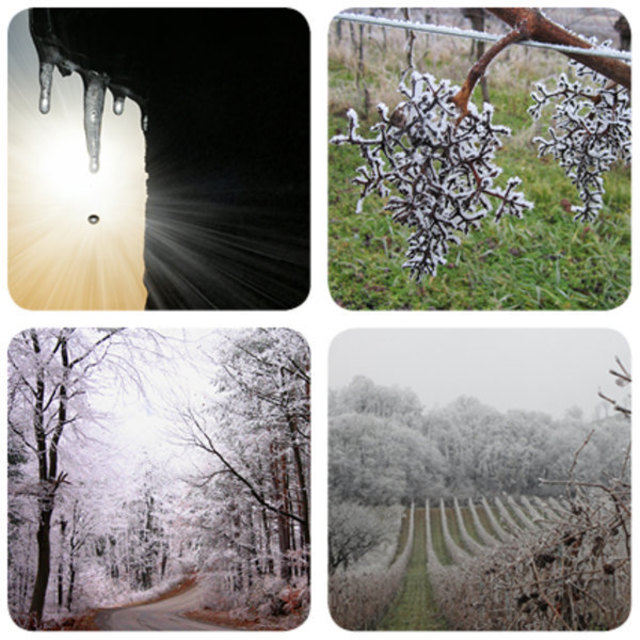 Mitmachen und gewinnen! | Foto: Monika Felber, Christine Draganitsch, Eveline Tomaschitz