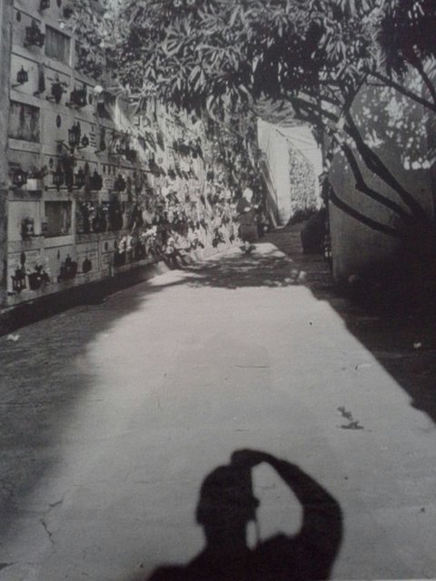Foto von Joe J. Heydecker