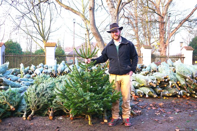 Ludovico Tacoli legt viel Wert auf die Qualität seiner Christbäume und auf Nachhaltigkeit im Umgang mit der Natur und Menschen.