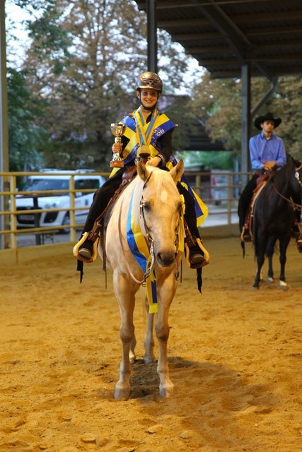 Die junge Piestingerin Carina Machacek wurde am Sonntag für ihre 3 Landesmeistertitel im Westernreiten geehrt!