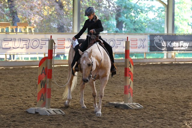 Brillierte in der Klasse Youth und holte 3 Landesmeistertitel: Carina Machacek aus Markt Piesting