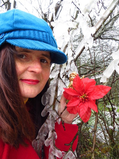 Humane warme  -Klarheit bringende Weihnacht wünscht Sibylle