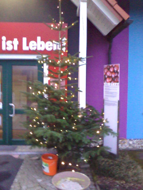 Der festliche Weihnachtsbaum