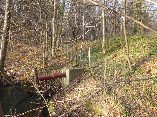 Aus diesem Stahlrohr sollte der Überlauf des oberen Rosenhainteiches abfließen. Um diesen verstopften unterirdischen Kanal wieder durchgängig zu machen, sollte dei Feuerwehr um Unterstützung gebeten werden. Mit einem Feuerwehrschlauch, der hier durch dieses Stahlrohr eingeführt wird, könnte der Kanal dann ganz einfach mit ein wenig Überdruck - gegen die Flussrichtung freigespült werden.