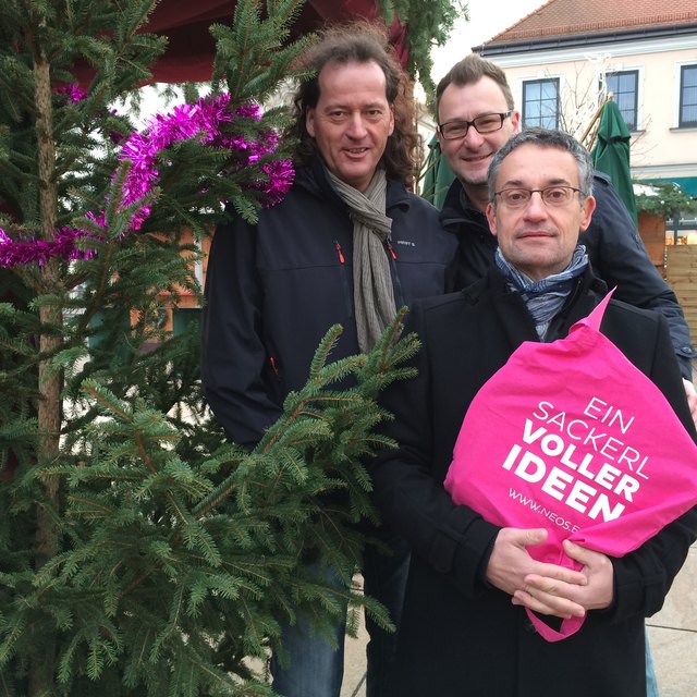 Peter Hönigschnabel, Herbert Schmied und Reinhard Sinabell. | Foto: NEOS Tulln