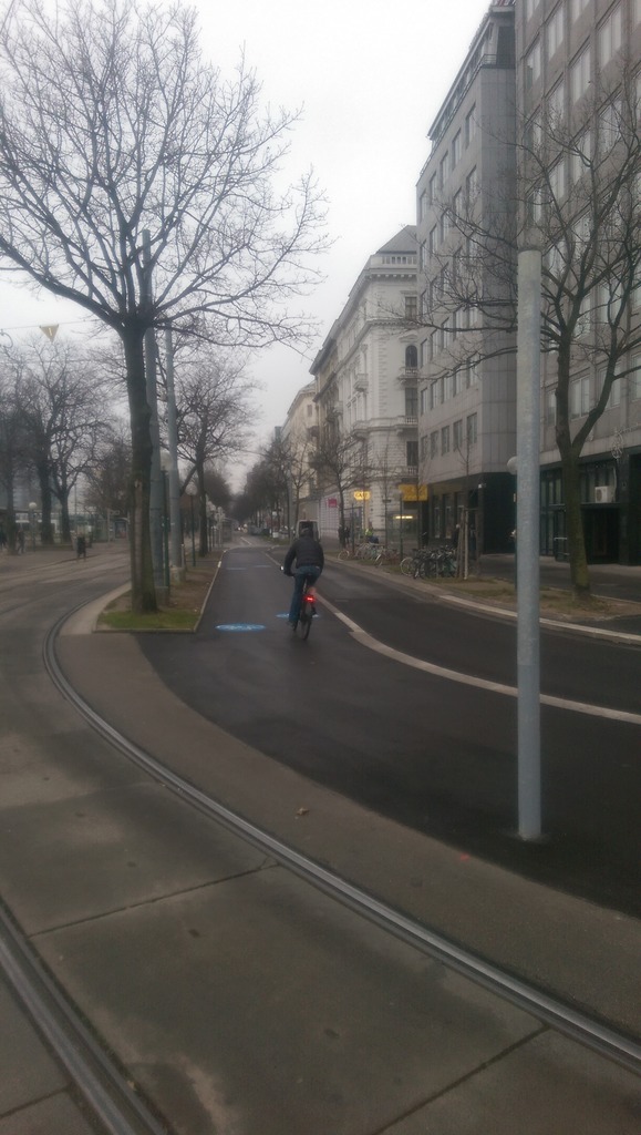 radweg in Wien Thema auf meinbezirk.at radweg in Wien Thema auf meinbezirk.at