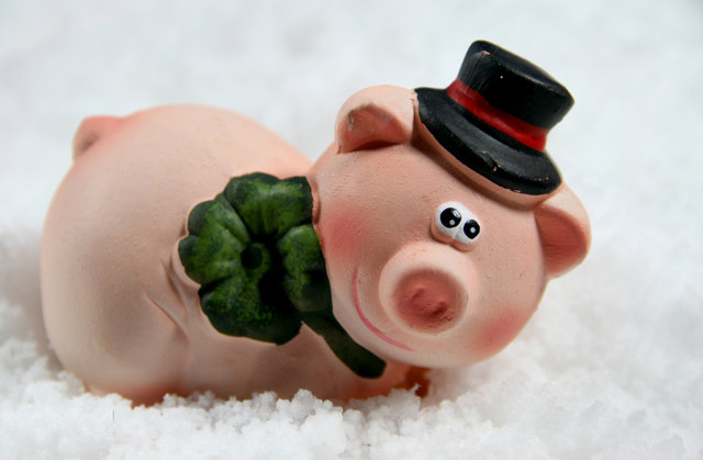 Foto: Fotolia/merrisusi