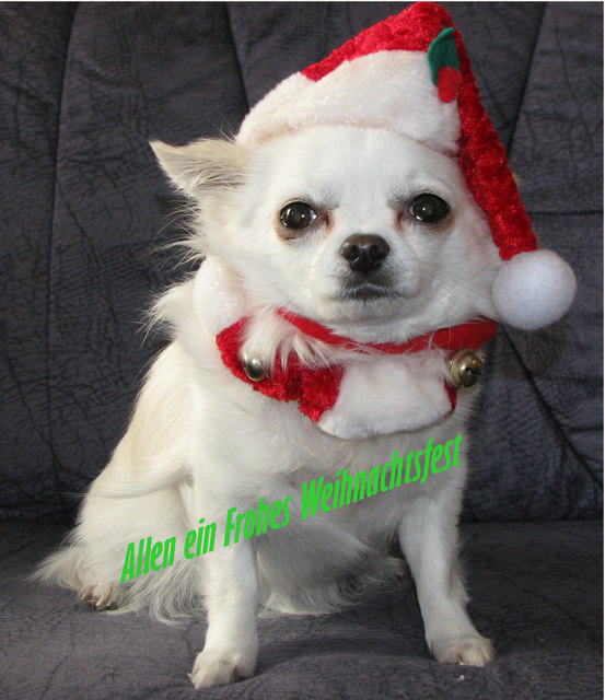 Allen ein frohes und gesegnetes Weihnachtsfest..