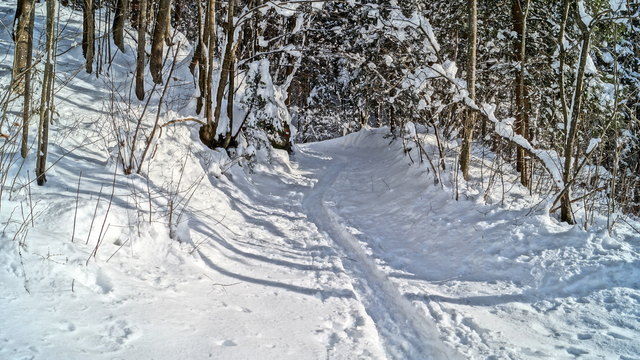 Schneeschuhwandern im Hagertal - Landschaftsschutzgebiet Hefferthorn, Fellhorn, Sonnenberg (Kössen/Kirchdorf)