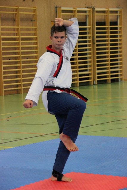 Savo Kovacevic war der erste Tullner Taekwondoin, der bei einer Weltmeisterschaft dabei war. | Foto: privat