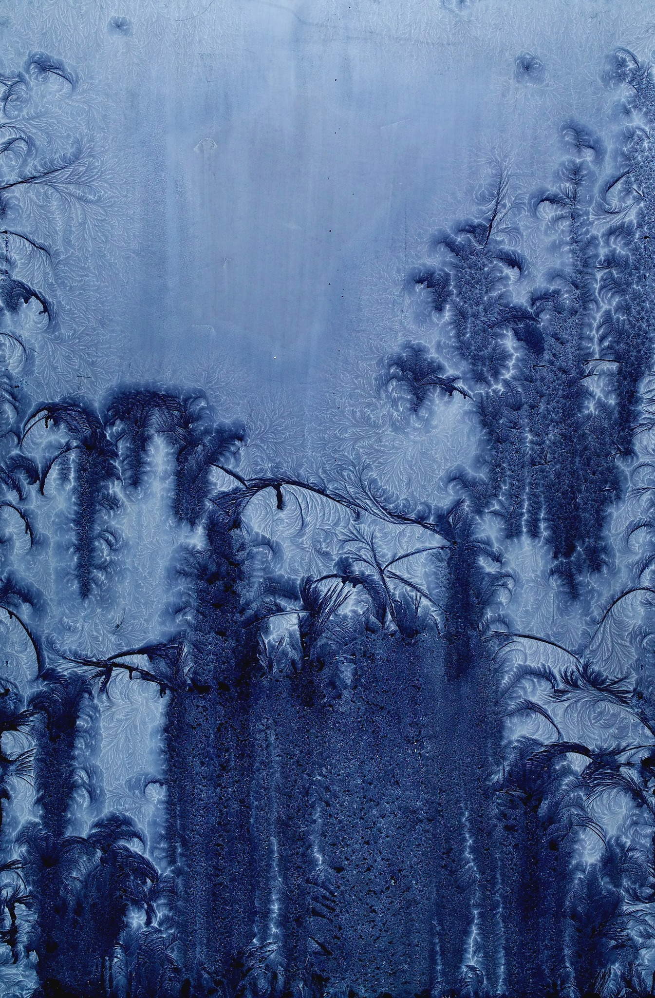 Wilhelm Scheruebl Innsbruck