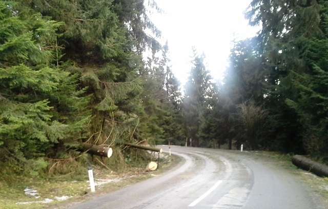 Foto: Feuerwehr Hofkirchen