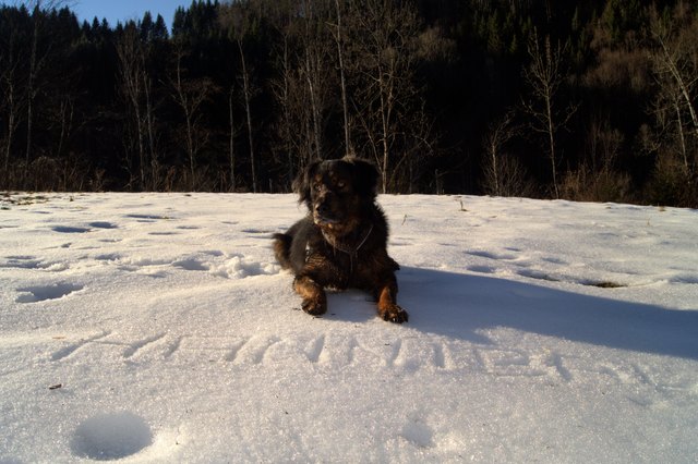 ...steirischer "walk of fame".....extra für mein BuB.....ggg