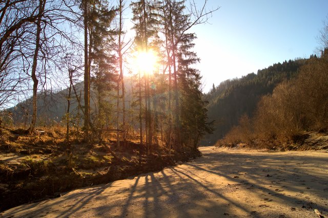 ......der Sonne entgegen.....