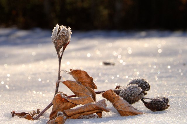 .......herrliche Glitzerwelt.....