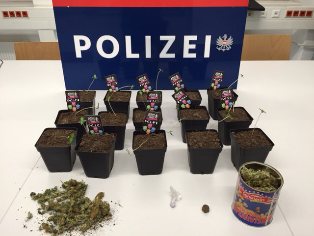 Foto: ZOOM-Tirol