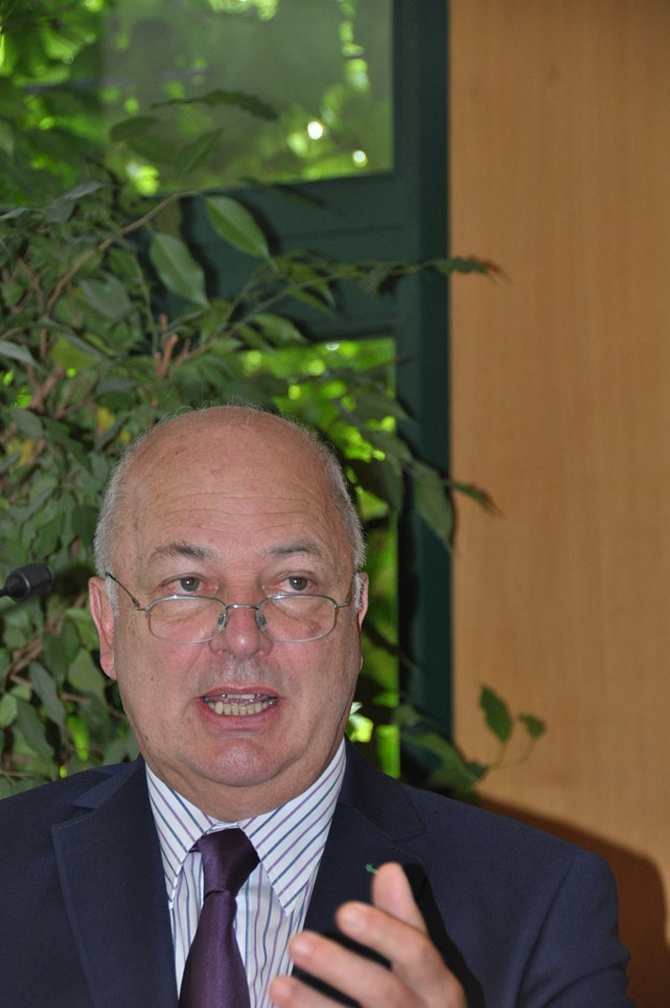 Manfried Rauchensteiner, Willibald Rosner und Reinhard Linke