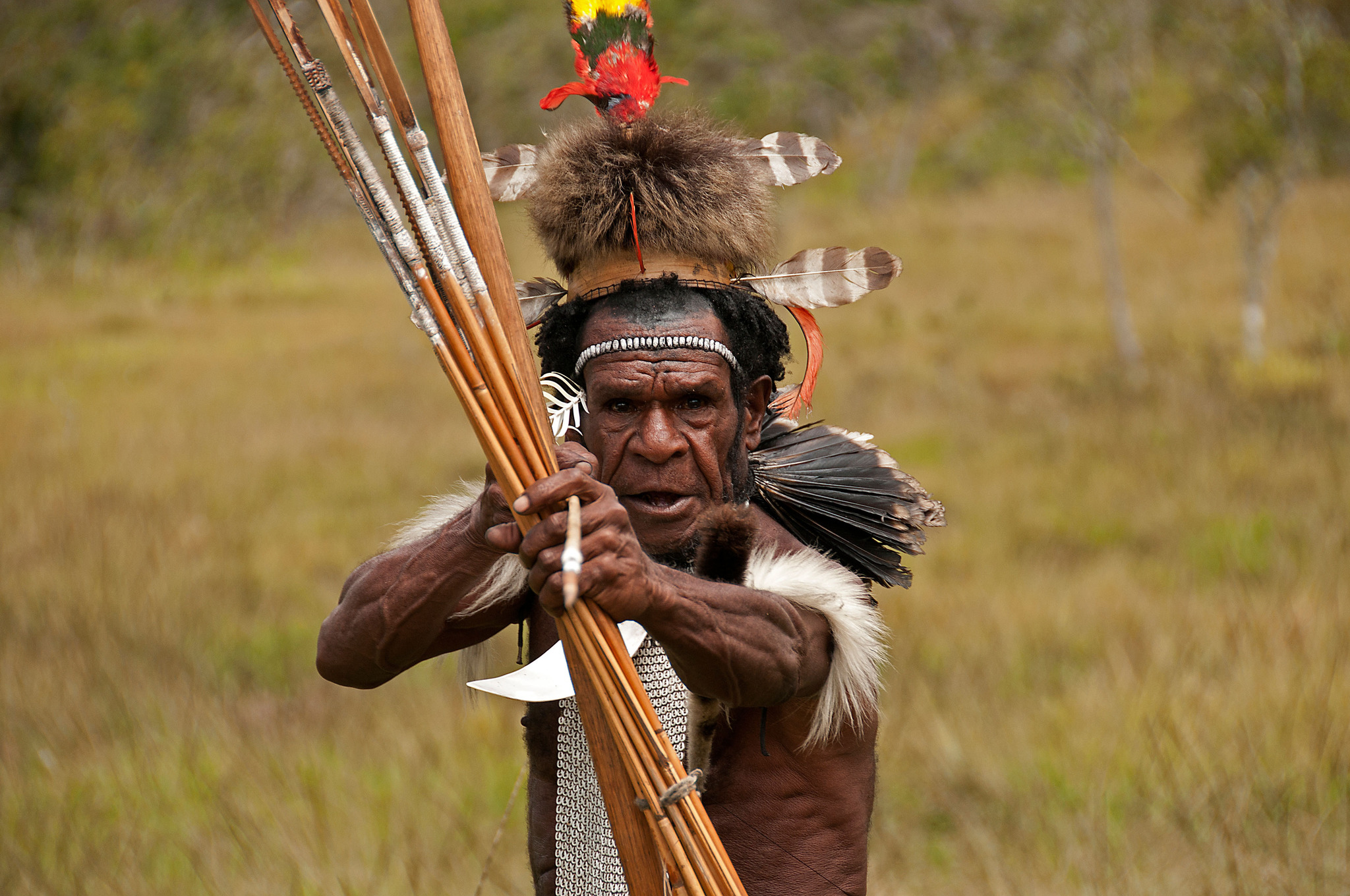 Abenteuerreise nach WestPapua Freistadt