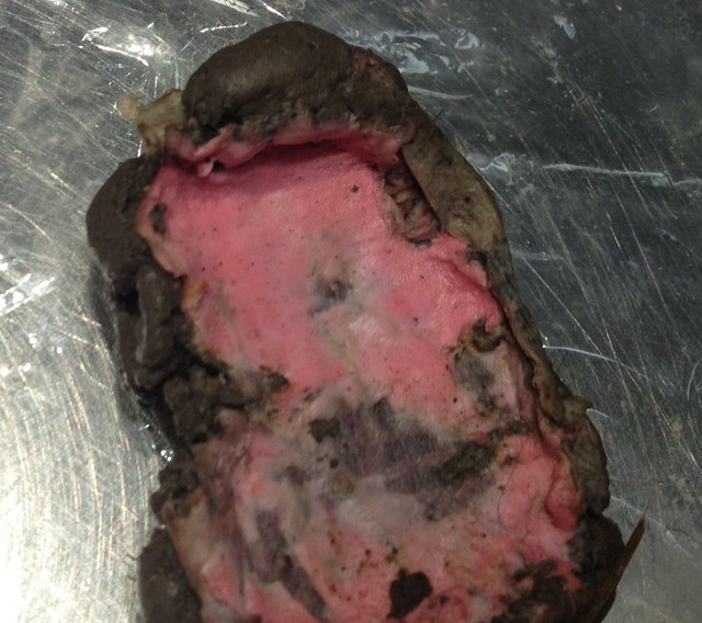 Im heimischen Garten in der Dr. Niedermayrgasse wurde diese wohl giftige Masse gefunden. | Foto: privat