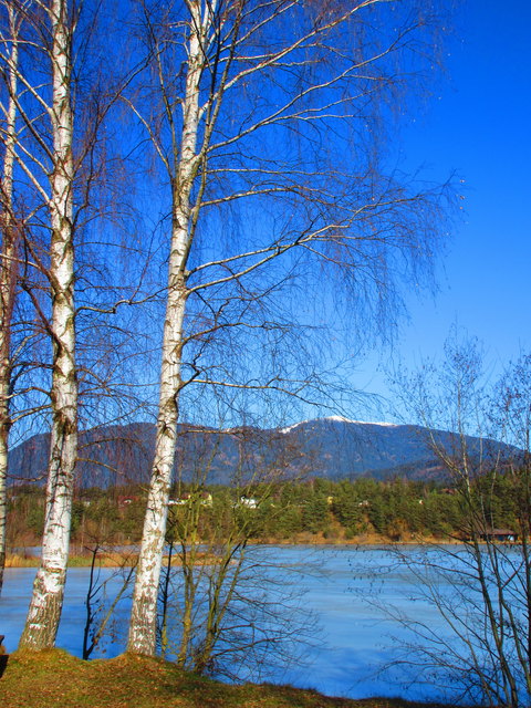 Eislaufen am Silbersee bei Villach ist zwar derzeit verboten, aber wann konnte man Ende Jänner bei Traumwetter und Plusgraden um den See spazieren?