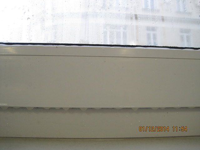 1.12.2014 - 100% Luftfeuchtigkeit, Tag der Rückgabe