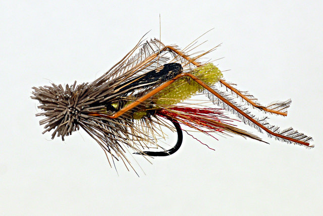 Heuschrecke