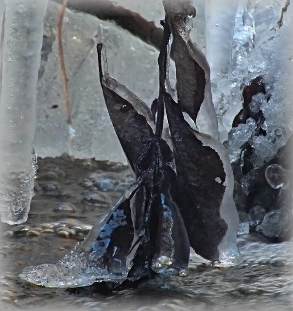 Vollbild