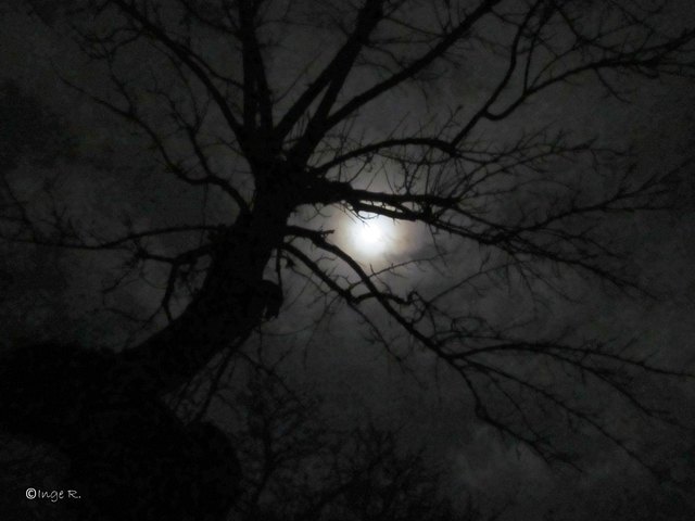 Vollmond, Geisterstunde, gleich erscheint der Mondgeist !