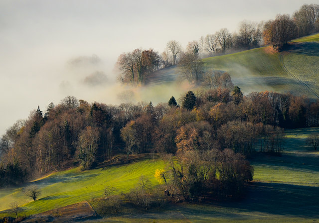 "Herbstnebel" als höchst bewertetes Foto mit 37 von max. 40 Punkte | Foto: KKL- Mitglied Ing. Helmut Flatscher