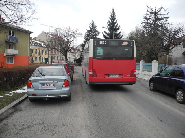 Das hier das Radfahren gegen die Einbahn zum Unfallrisiko wird ist klar ersichtlich