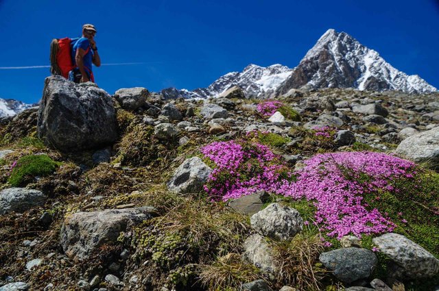 Natur kennenlernen