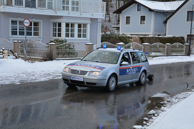 Auch die "Pozilei" war beim Randegger Faschingsumzug mit einem Wagen vertreten.