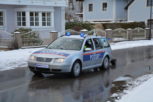 Auch die "Pozilei" war beim Randegger Faschingsumzug mit einem Wagen vertreten.