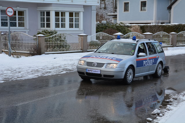 Auch die "Pozilei" war beim Randegger Faschingsumzug mit einem Wagen vertreten.