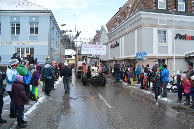Der Randegger Faschingsumzug begeisterte Jung und Alt.