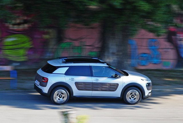 Ober sticht Unter  C4 Cactus sticht alle