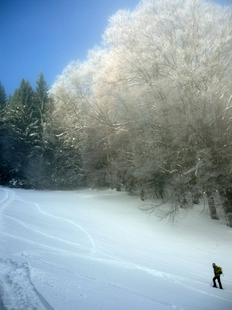 So beginnt mein heutiges Wintermärchen... nur hats einen Vorteil gegenüber anderen: es is wirklich wahr gewesn!!!