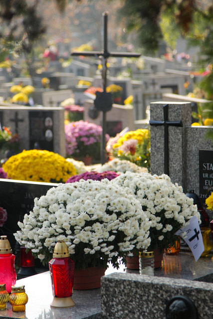 Foto: Fotolia/elisabeth3