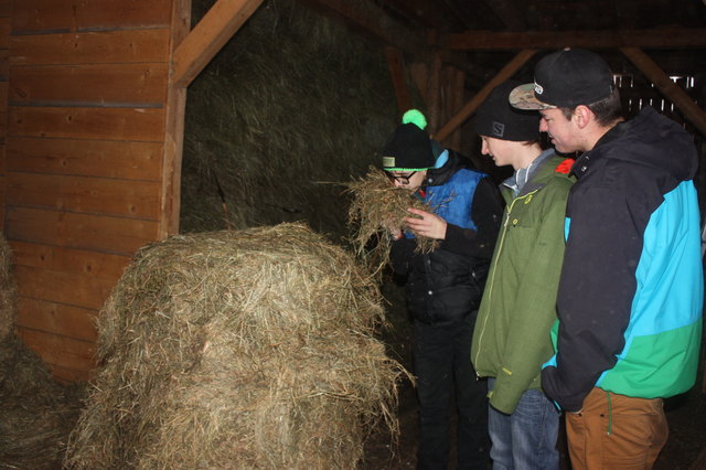 Foto: Foto: LLA Imst