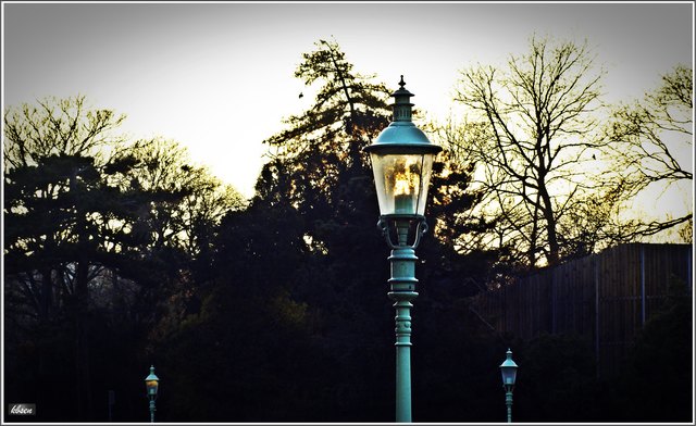 spendet die Sonne den Laternen im Stadtpark.