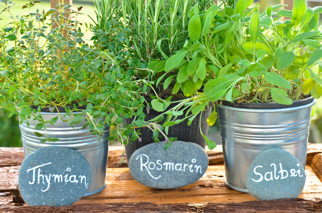 Thymian und Rosmarin sind schmackhafte Küchenkräuter, die außerdem entgiftend wirken. | Foto: Marmel - Fotolia