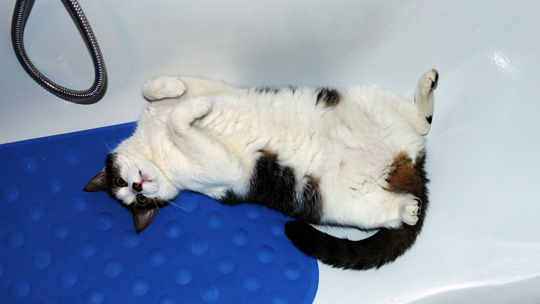 Du,die Wanne ist voll... Salzkammergut