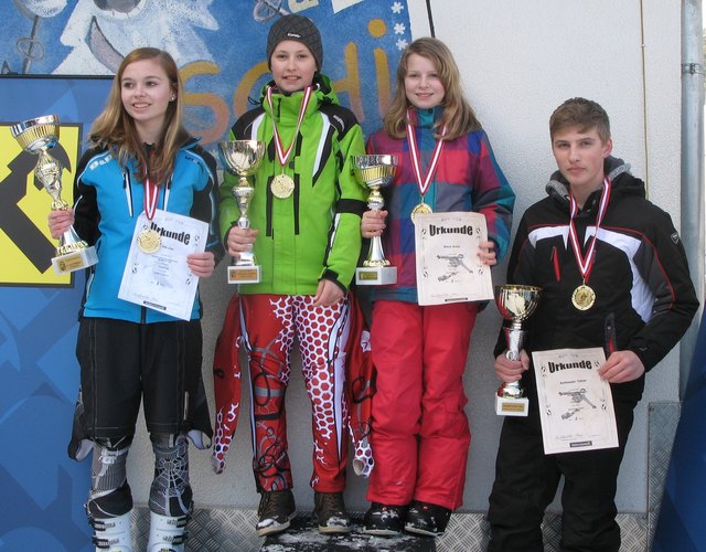 Lisa Pilz, Markus Baumgartner, Anna Klaus, Tobias Raffetseder | Foto: NMS St. Georgen/Walde