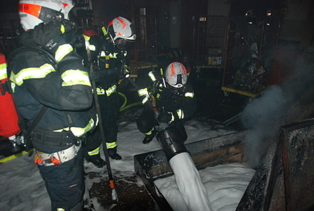 Foto: Pressestelle BFK Mödling